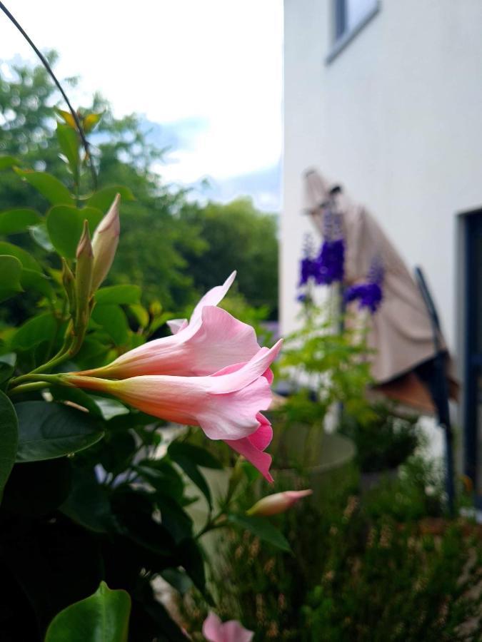 La Suite Cosy - Votre Pause Arboree La Bruyere 외부 사진